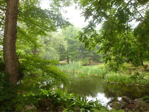 �k�C����w�A����