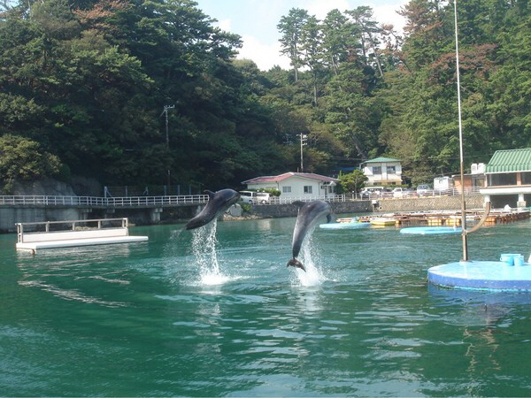 ���c�C��������