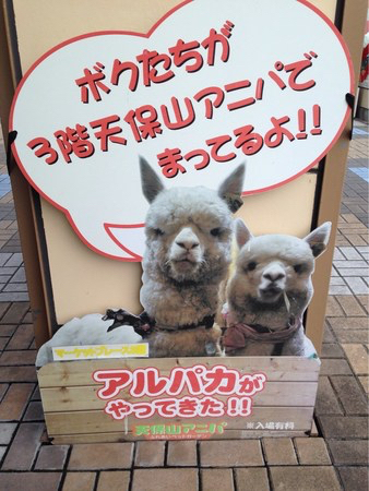 �V�ێR�}�[�P�b�g�v���[�X