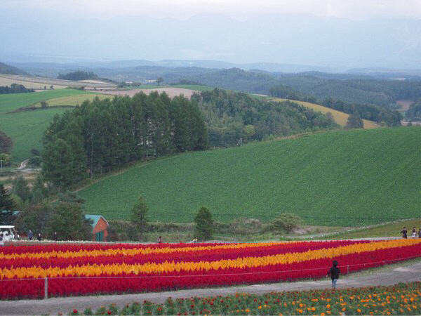 �p�m���}���[�h