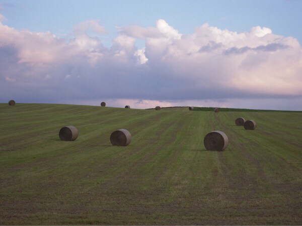 �p�m���}���[�h