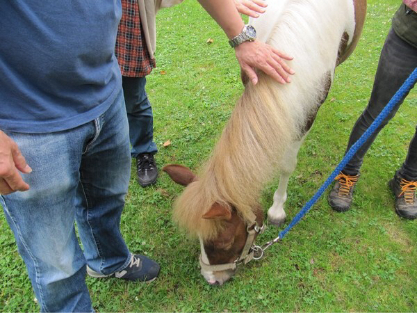 �m�[�U���z�[�X�p�[�N