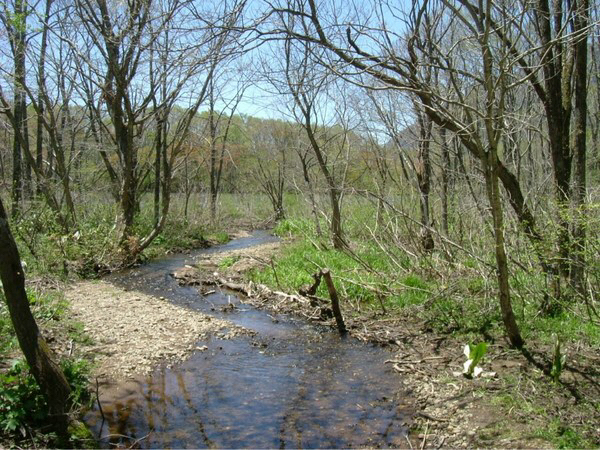 �ˉB�X�ѐA����