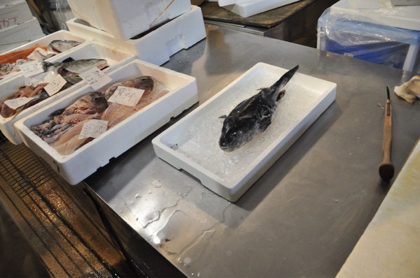 ���ˎs��i���������n�֊X�j