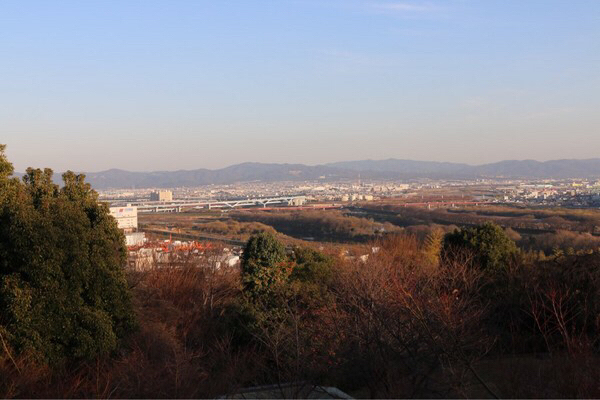 �A�T�q�r�[����R��R�����p��