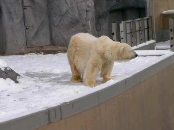 ���R������