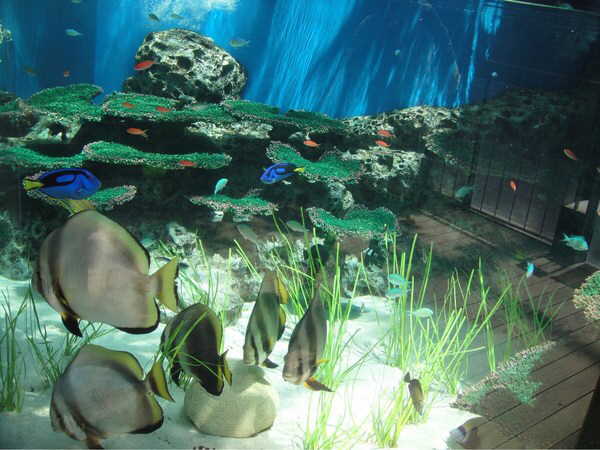なかがわ水遊園
