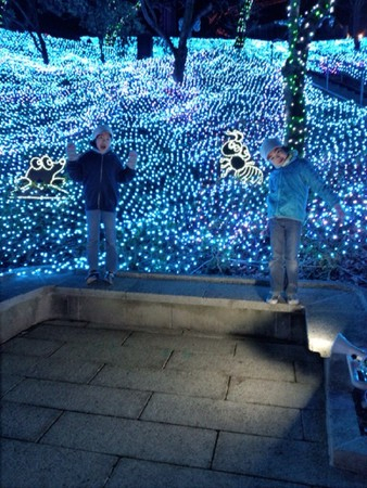 �������䂤����