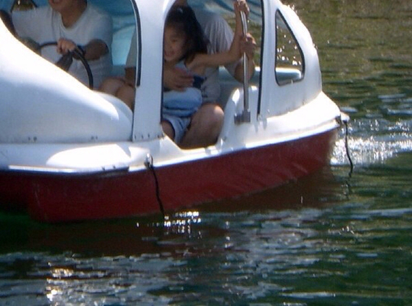 ��z�������