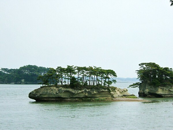 �����l���