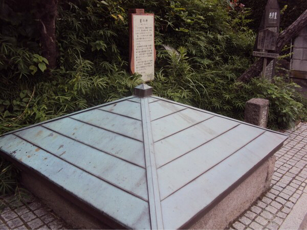 ������̈�