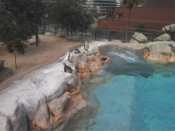 ���֎s�������̂��������فE�C����