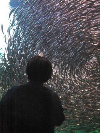 ���֎s�������̂��������فE�C����