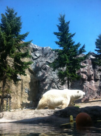 ���R������