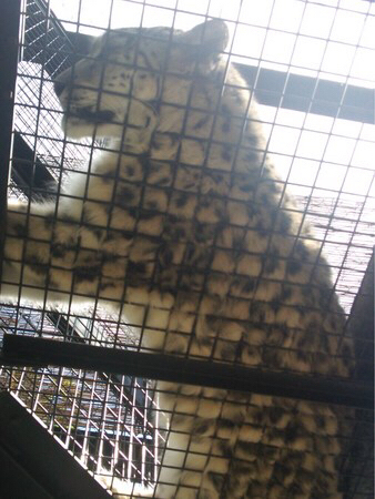 ���R������