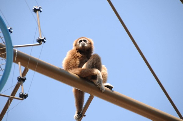 ���R������