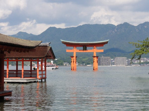 �����_��