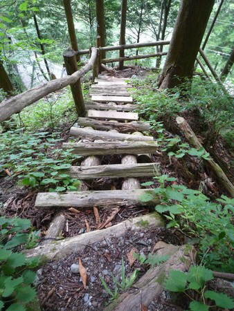 �����ߓ���