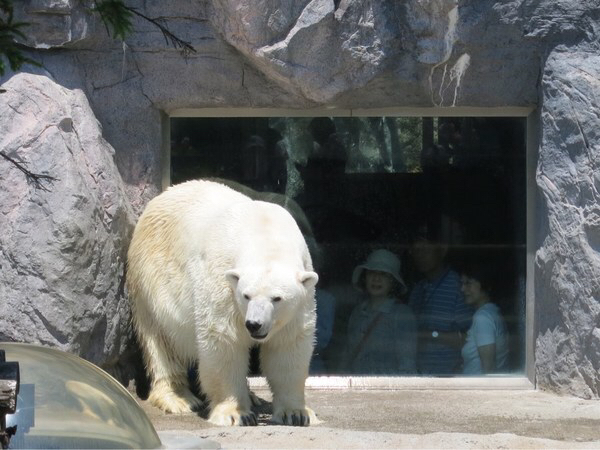 ���R������