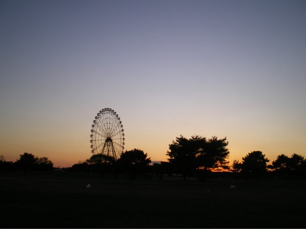 国営ひたち海浜公園