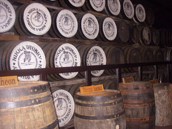 �j�b�J�E���X�L�[���H��@�{�鋬������