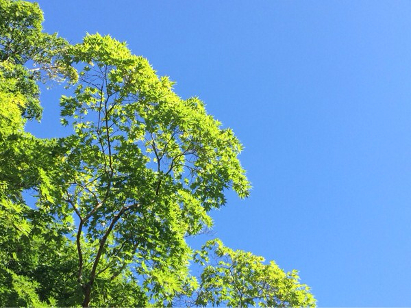 �Ƃ��H�[�J�t�F