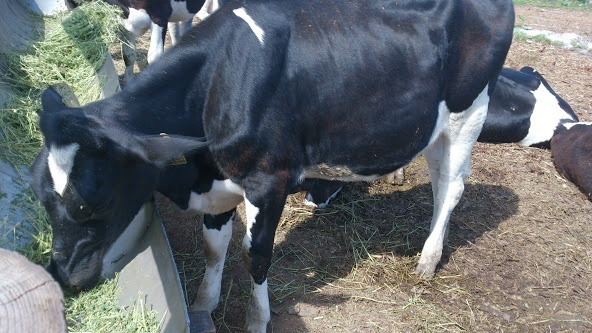 �������P�P�W