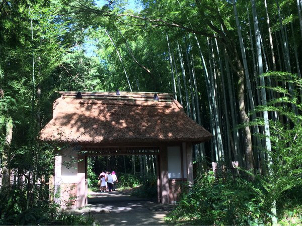 �Ƃ��H�[�J�t�F