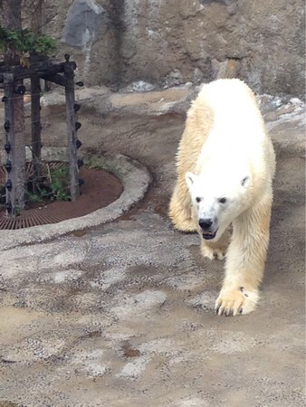 ���R������