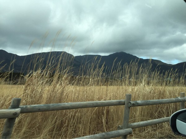 ��Ό�����