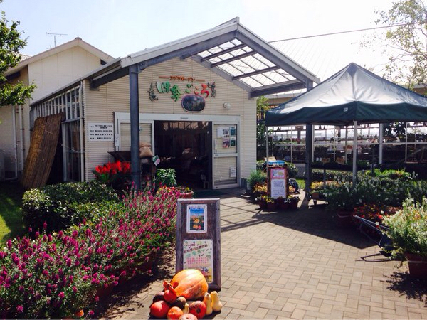 �G�ߑ̌��_��@�Ԃ̊C