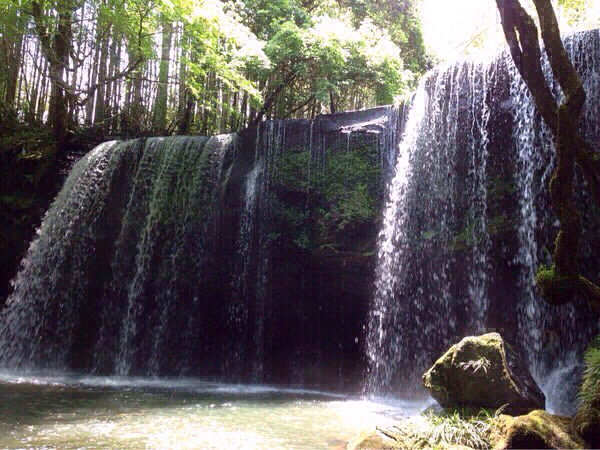 �烖������@�@���E�F�u����̎��O�\�񐧂ɂ������ƂȂ��Ă���܂��B