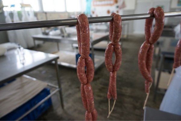 �k�C�������q��