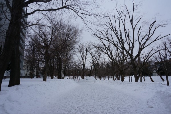 �k�C����w�A����