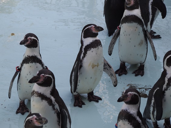 �~�R������