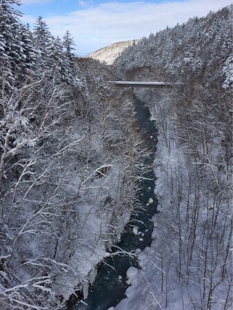 ���Ђ��̑�