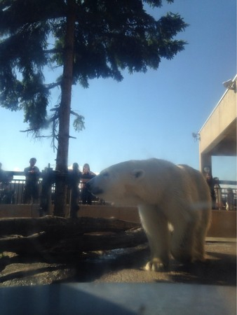 ���R������