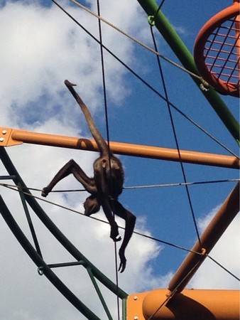 ���R������