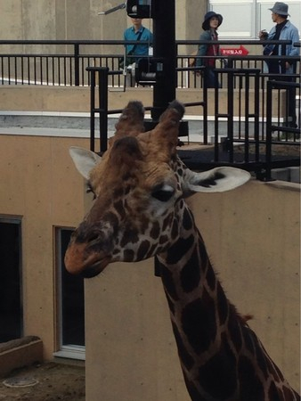 ���R������