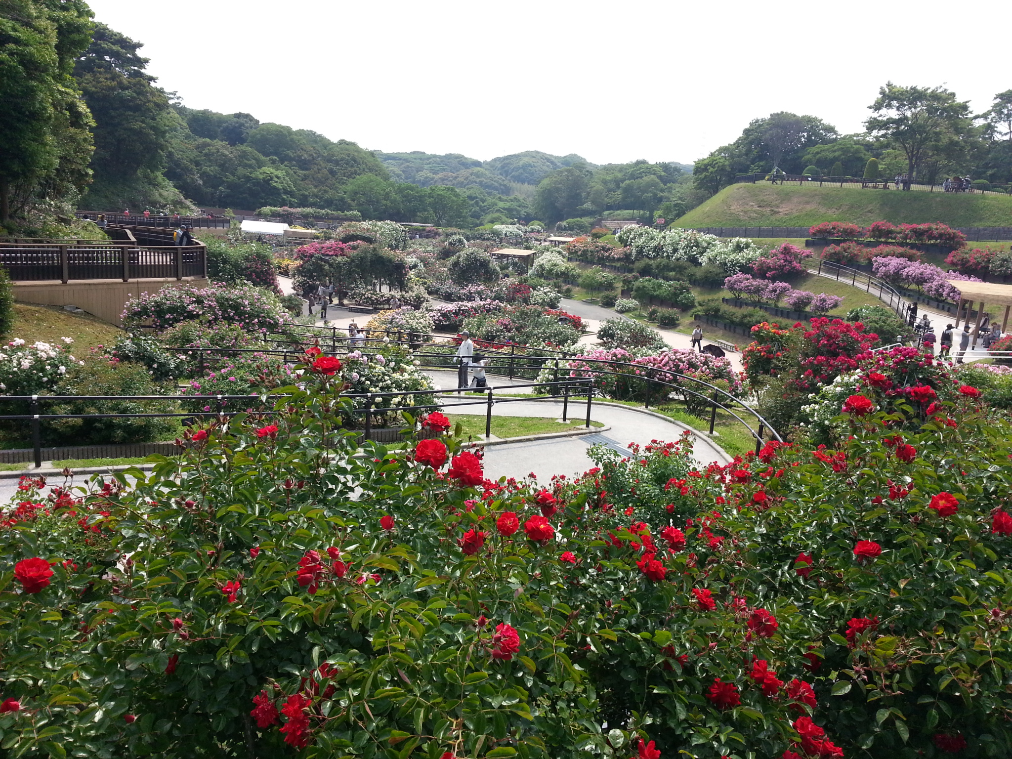 北九州市立響灘緑地 グリーンパークの写真一覧 じゃらんnet