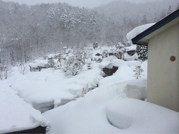 ���炬�̗��@�L��������