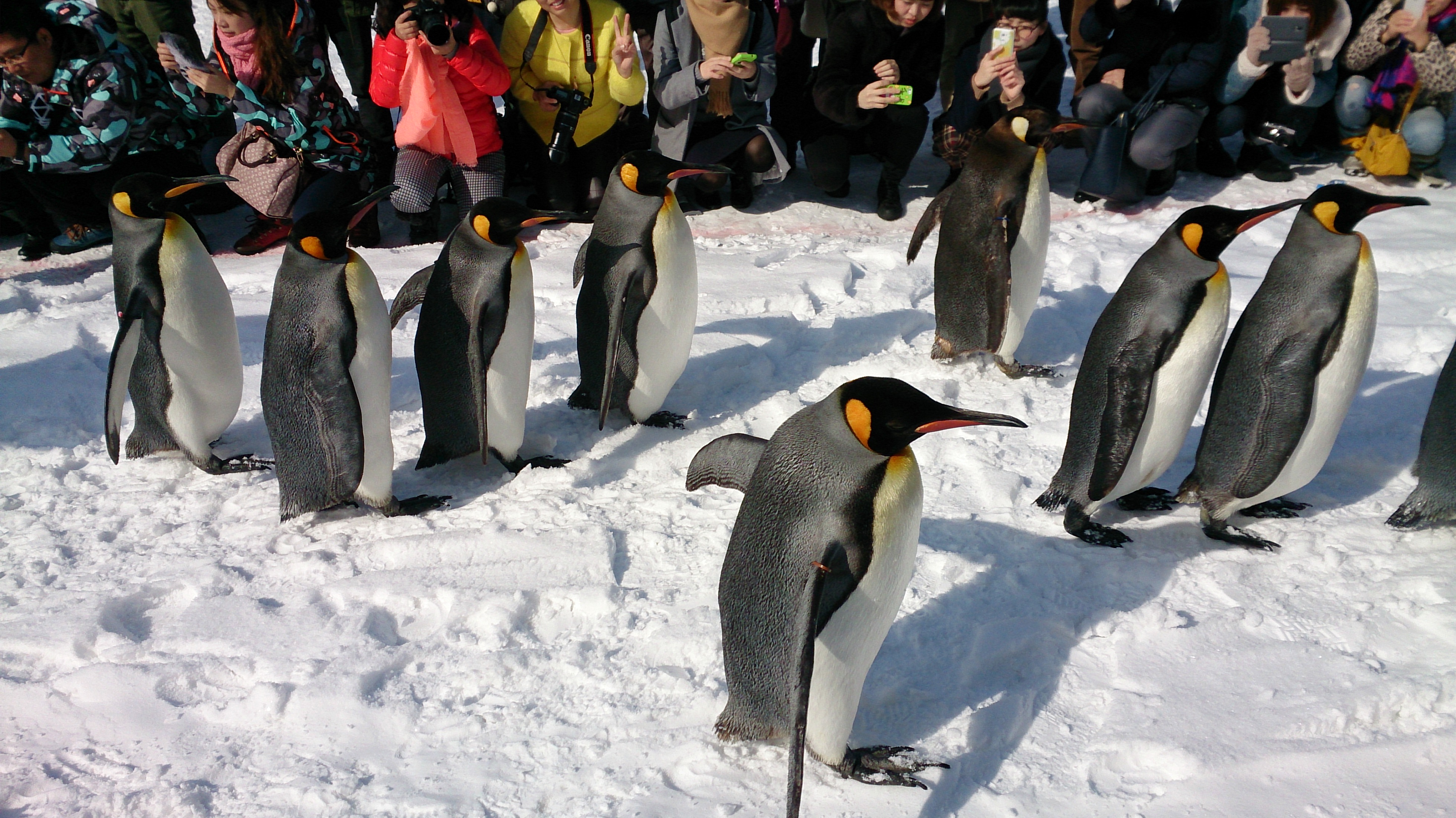 ���R������