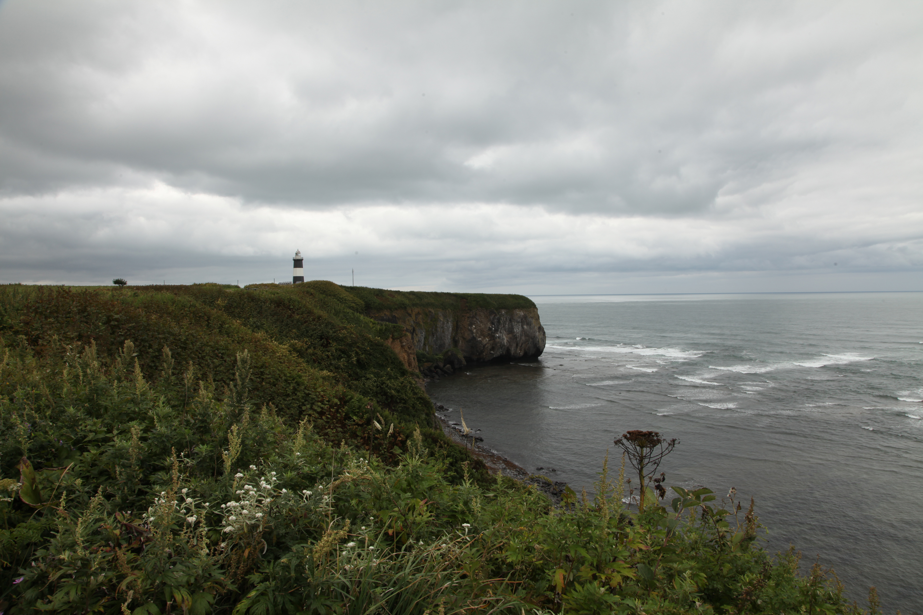 �\�斦�C��