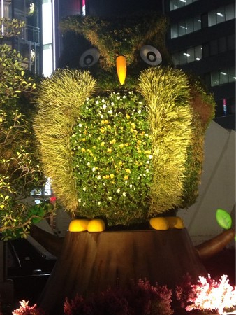 �����S�ݓX�@�r�ܓX