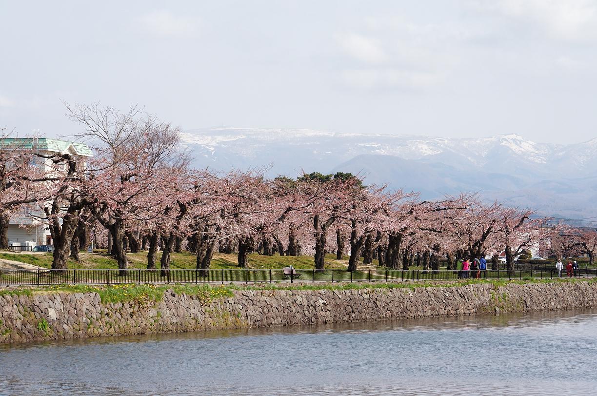 �ܗŊs����