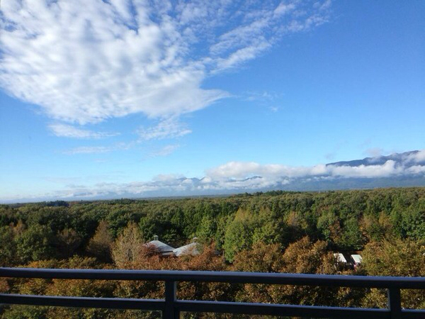 �z�e���G�s�i�[���ߐ{