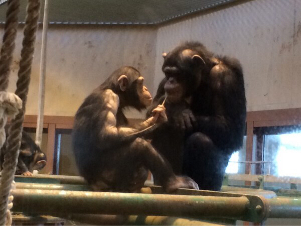 ���R������