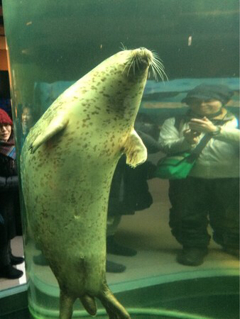 ���R������