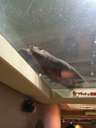 ���R������