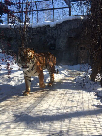 ���R������